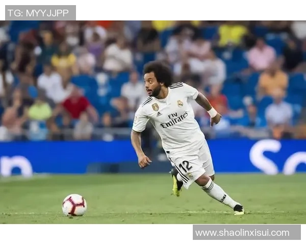 各大足球球星属相排名榜分析及其背后趣味性探讨 各大足球球星属相排名榜分析及其背后趣味性探讨