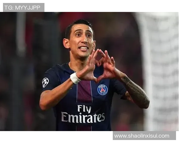 美洲著名边锋足球球星的成长历程与赛场辉煌表现